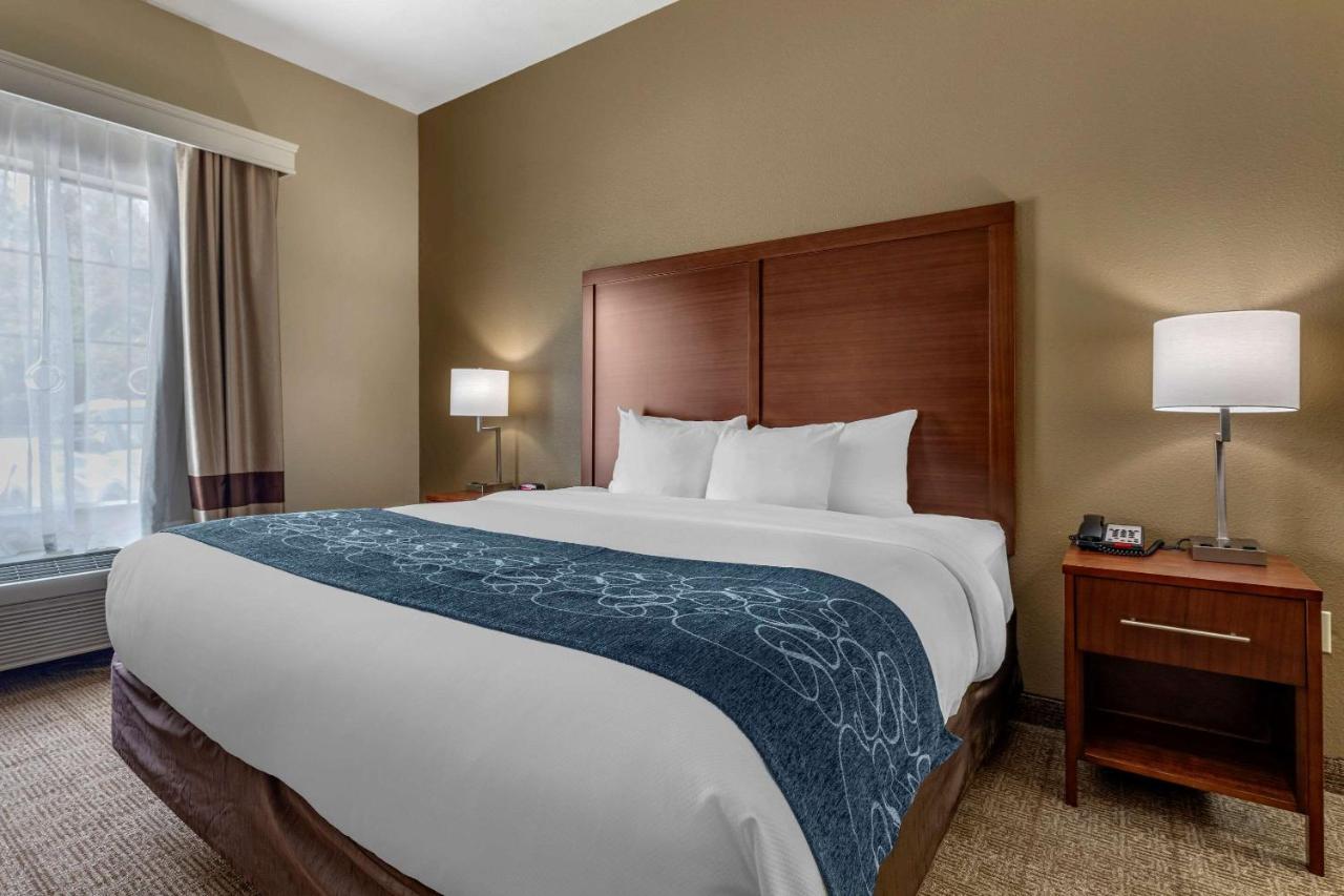 Hotel Comfort &