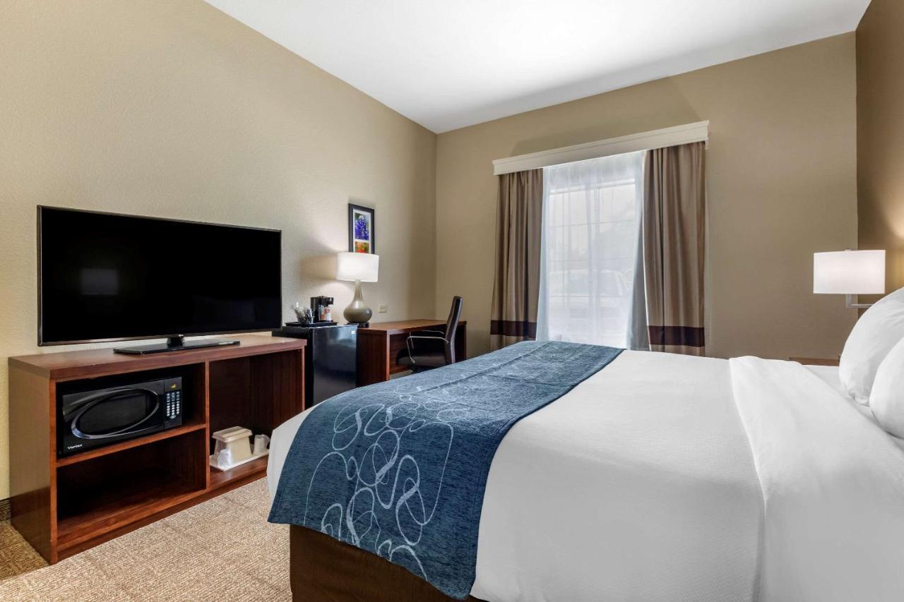 Comfort & Hotel