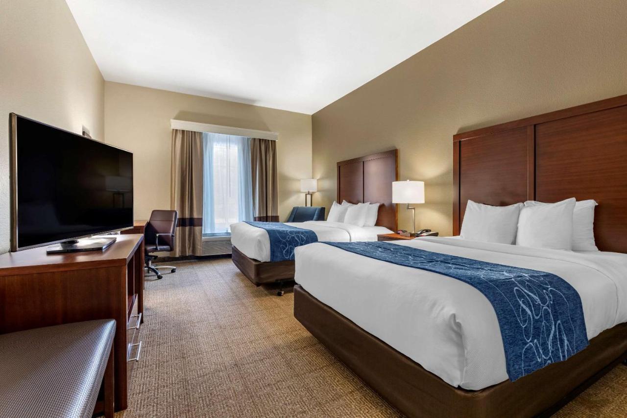 Comfort & Hotel