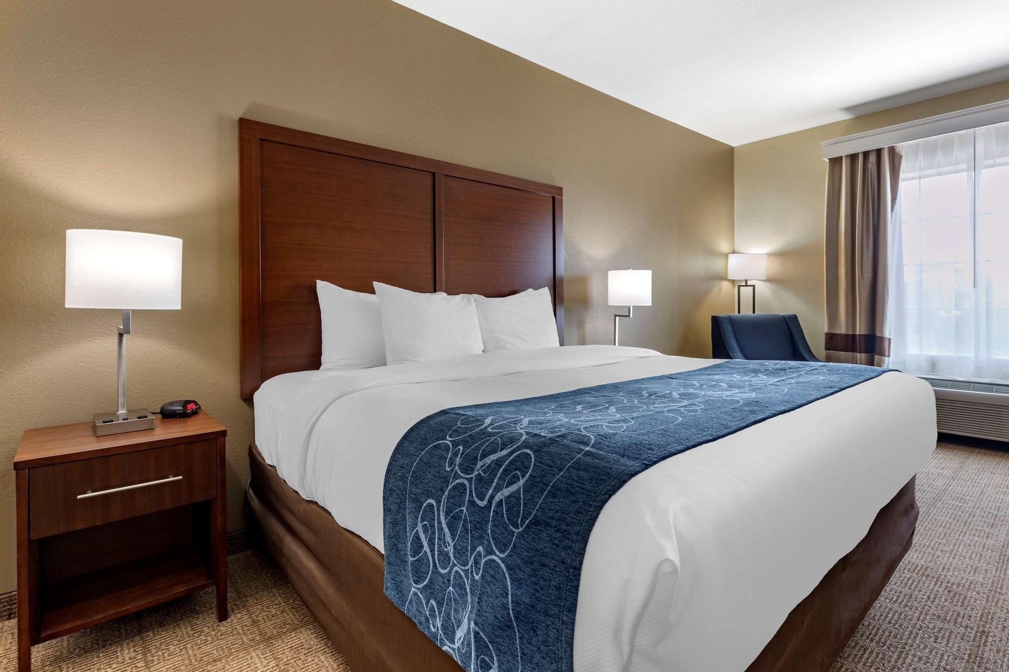 Comfort & Hotel
