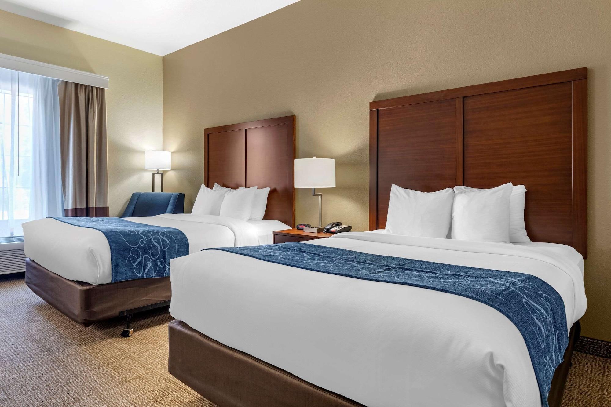 Comfort & Hotel